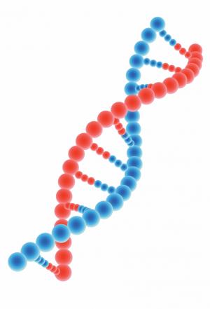 Svelata la struttura elettronica del DNA