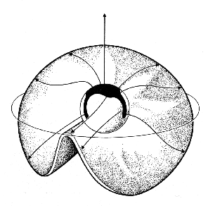 Maurice Cotterell e il grande ciclo di macchie solari