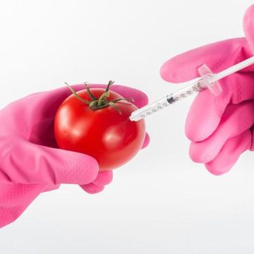 Sette punti contro gli OGM