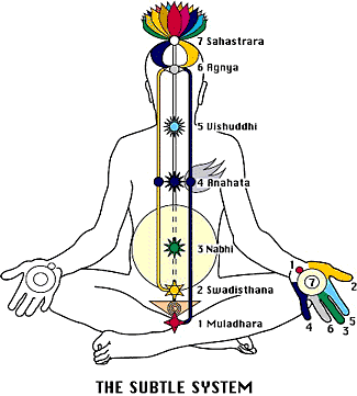 Kriya Yoga - Parte VII - la Coscienza