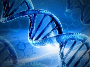 Le nanoparticelle danneggiano il DNA a distanza