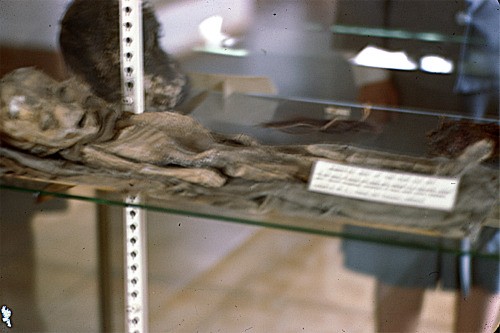 Corpo Mummificato di un Bambino di Due Anni