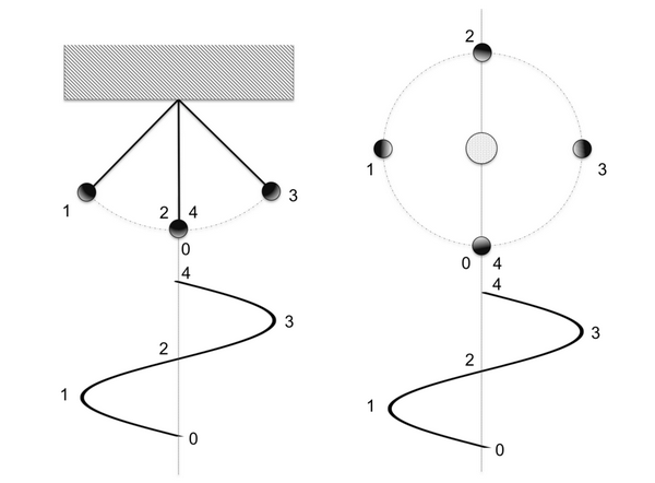 Fig. 2 - moti - ciclicità