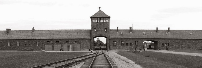 Auschwitz particolare