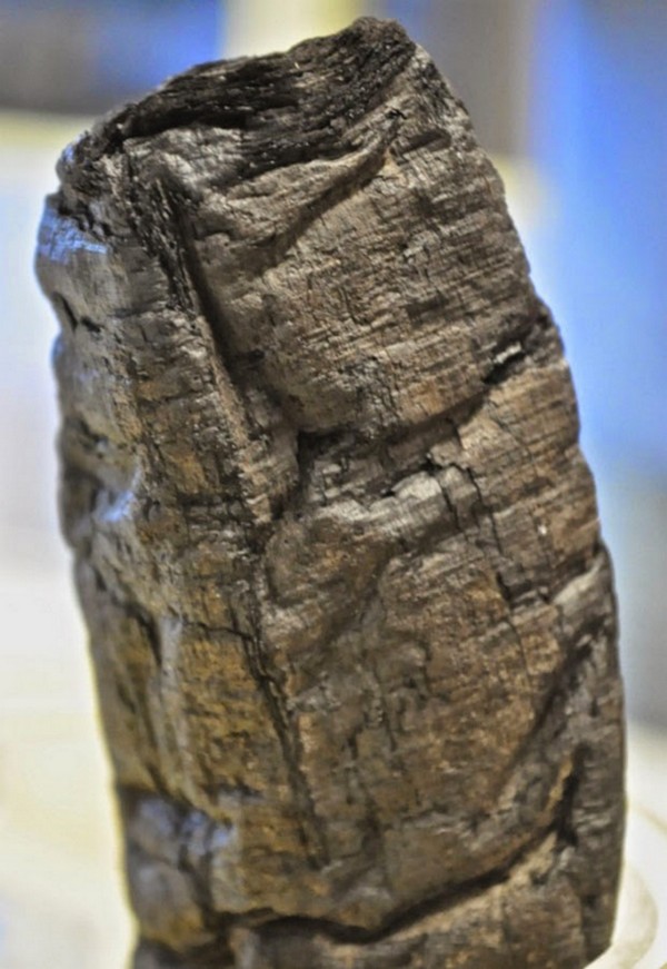 Ingrandimento di un papiro di Ercolano