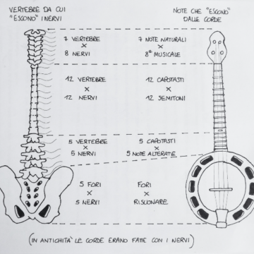 Anatomia Risonanza corpo