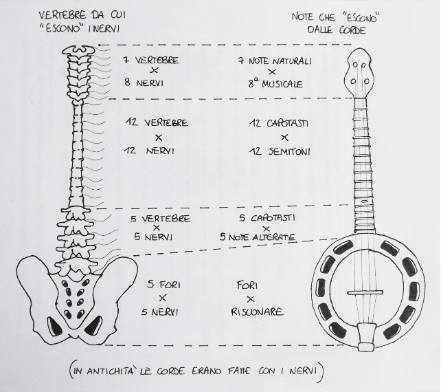 Anatomia Risonanza corpo
